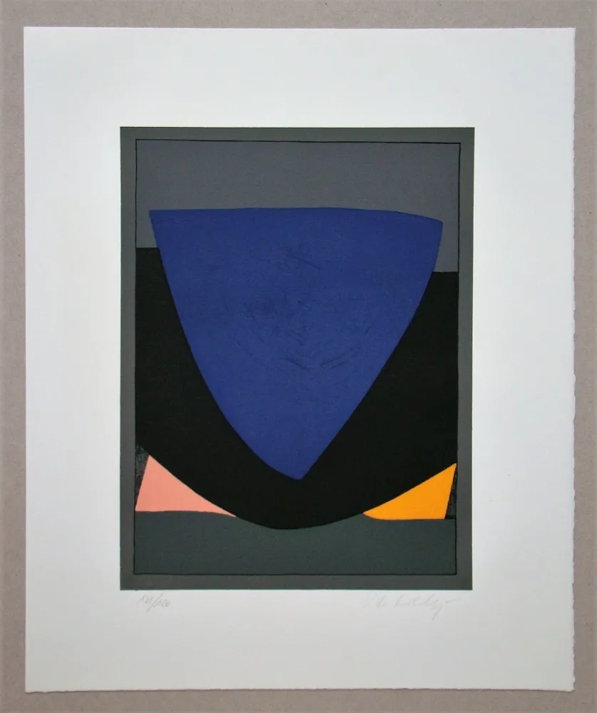 Lithograph Vasarely - Tecoma