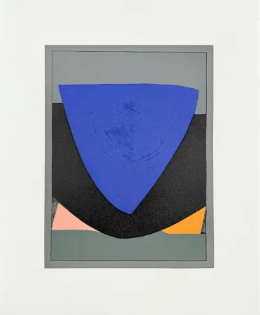 Lithograph Vasarely - Tecoma