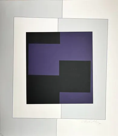 Screenprint Vasarely - Zara 
