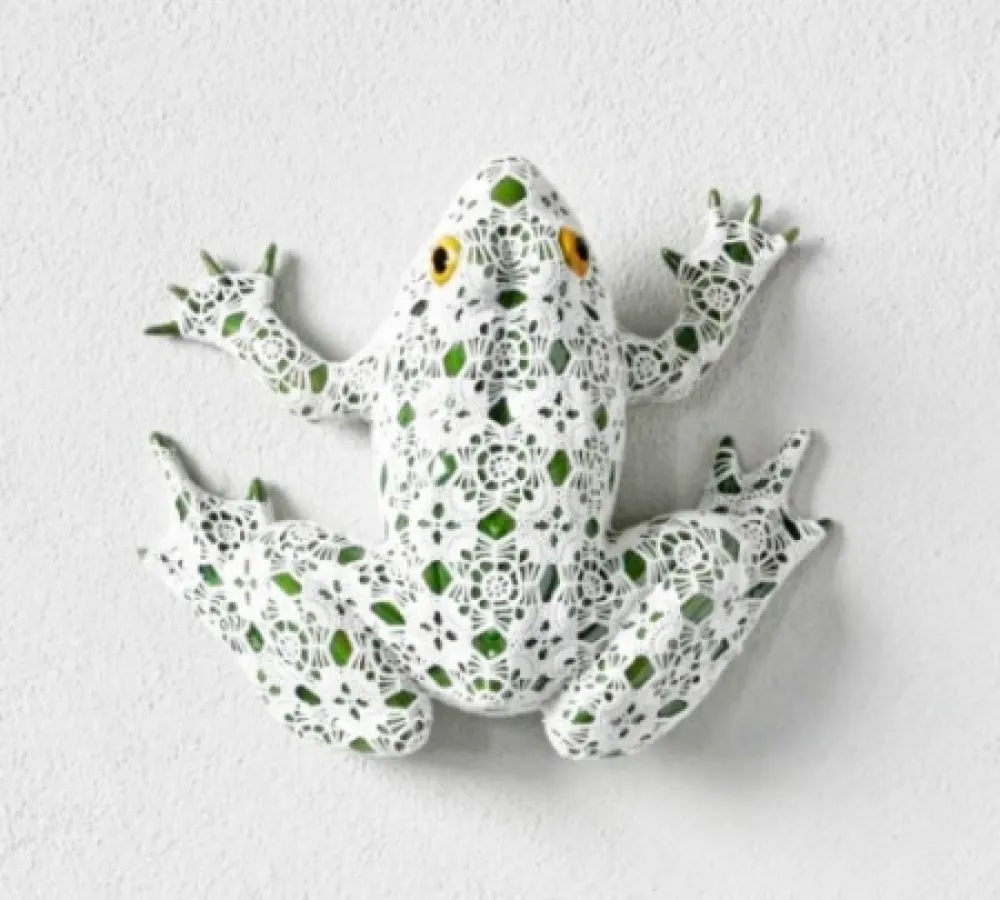 No Technical Vasconcelos - Neblina