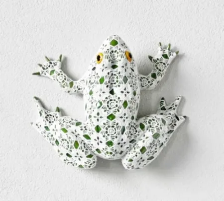 No Technical Vasconcelos - Neblina