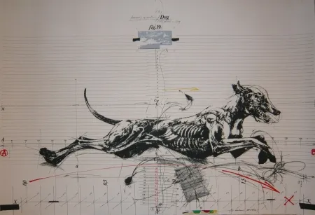 Lithograph Velickovic - Animals in motion