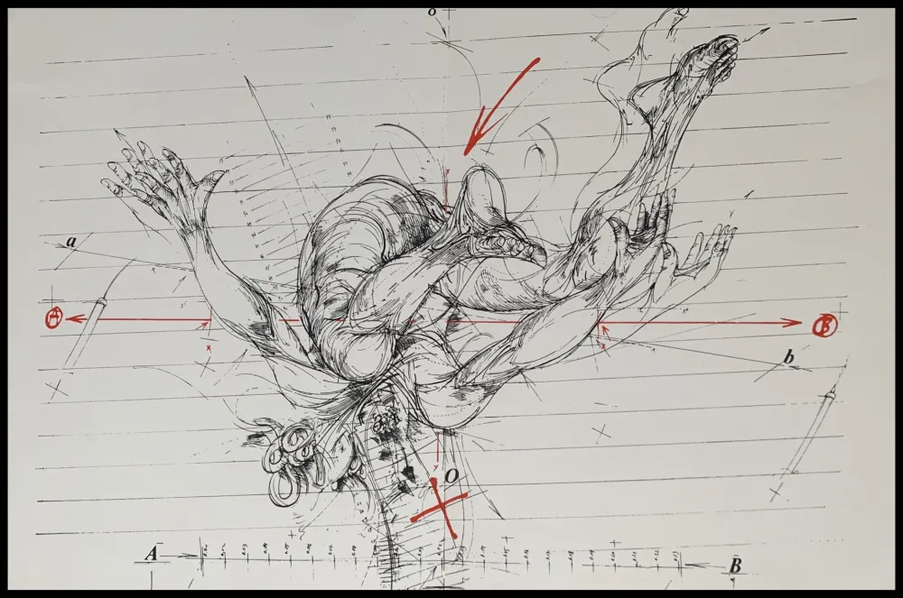 Screenprint Velickovic - La chute