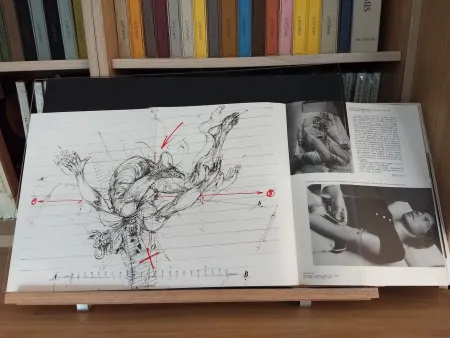 Illustrated Book Velickovic - No 44