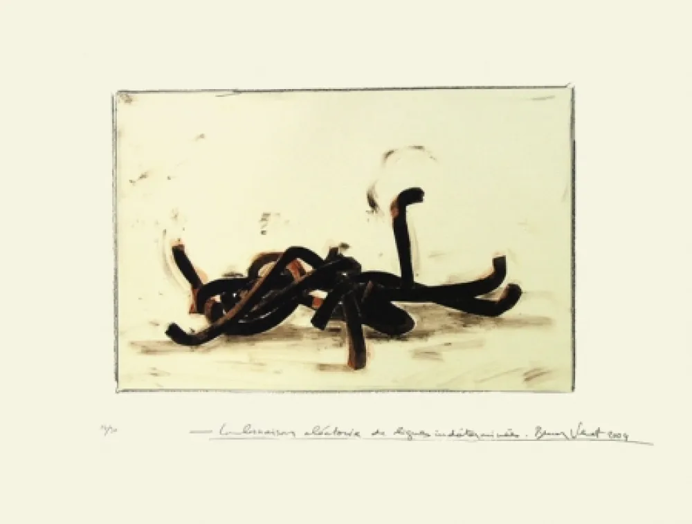 Lithograph Venet - Combinaison aléatoire de lignes indéterminées 3C