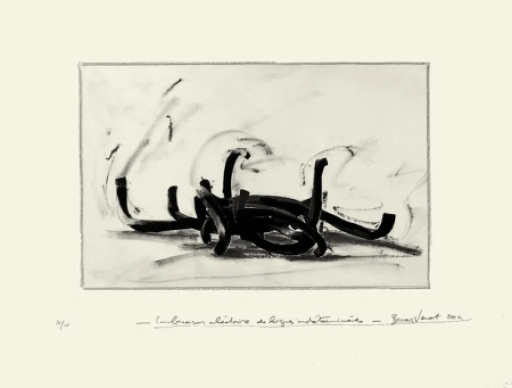 Lithograph Venet - Combinaison aléatoire de lignes indéterminées 9N