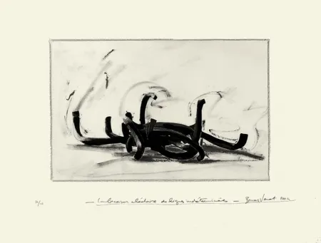 Lithograph Venet - Combinaison aléatoire de lignes indéterminées 9N