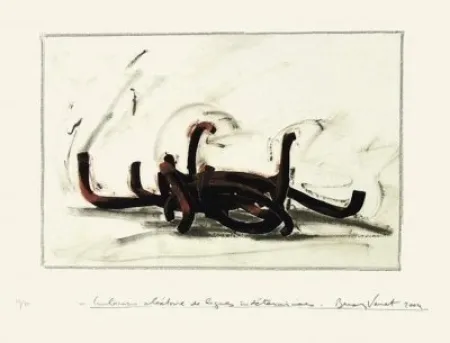 Screenprint Venet -  Indeterminate Lines