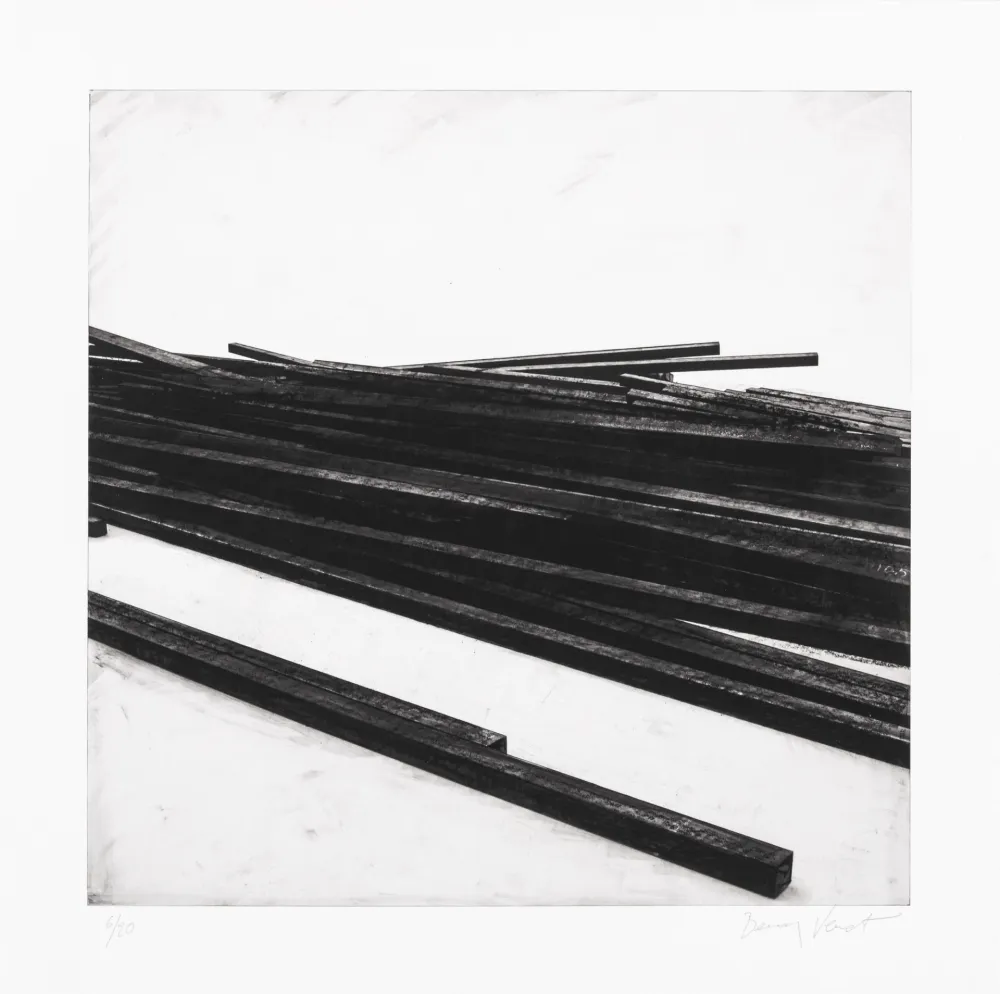 Screenprint Venet - Lignes droites / désordre 01