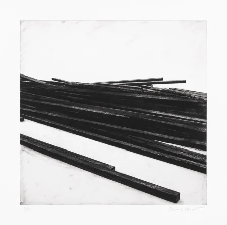 Screenprint Venet - Lignes droites / désordre 01