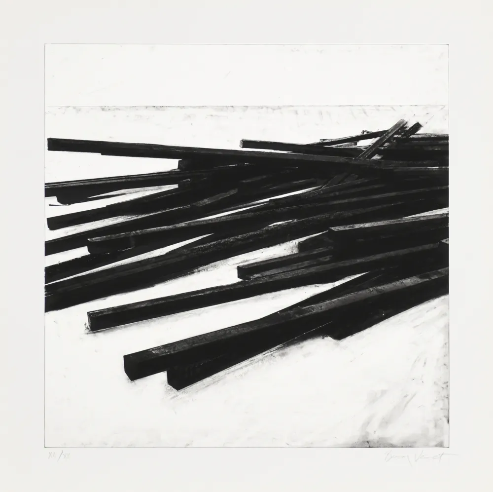 Screenprint Venet - Lignes droites / désordre 03