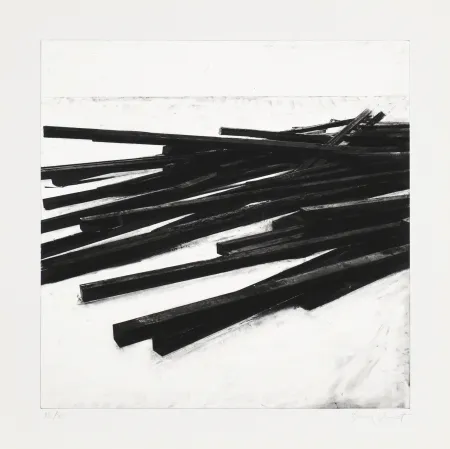 Screenprint Venet - Lignes droites / désordre 03