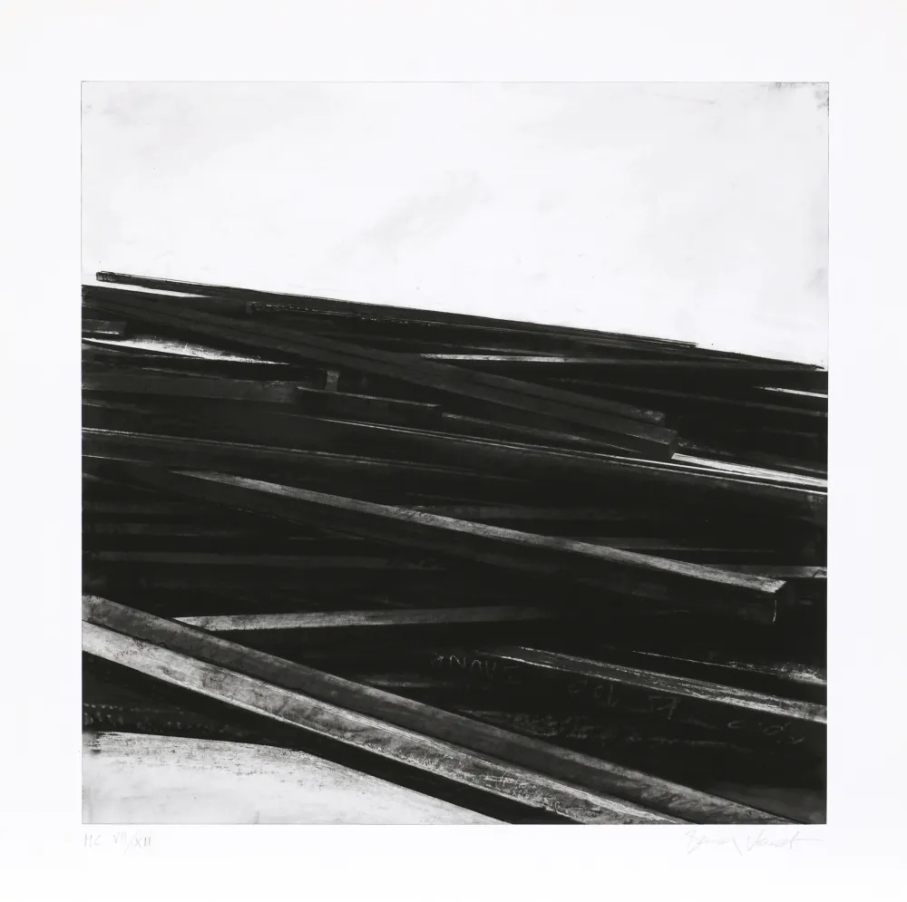 Screenprint Venet - Lignes droites / désordre 04