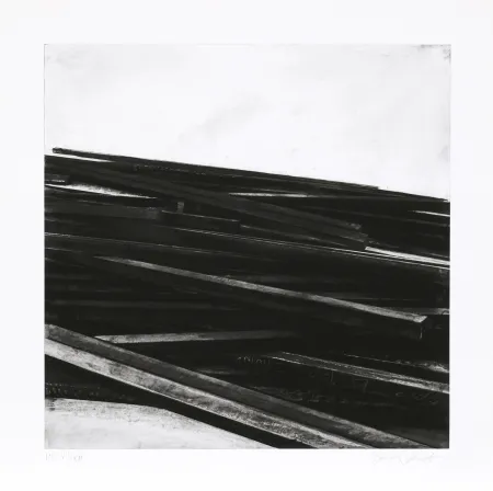 Screenprint Venet - Lignes droites / désordre 04