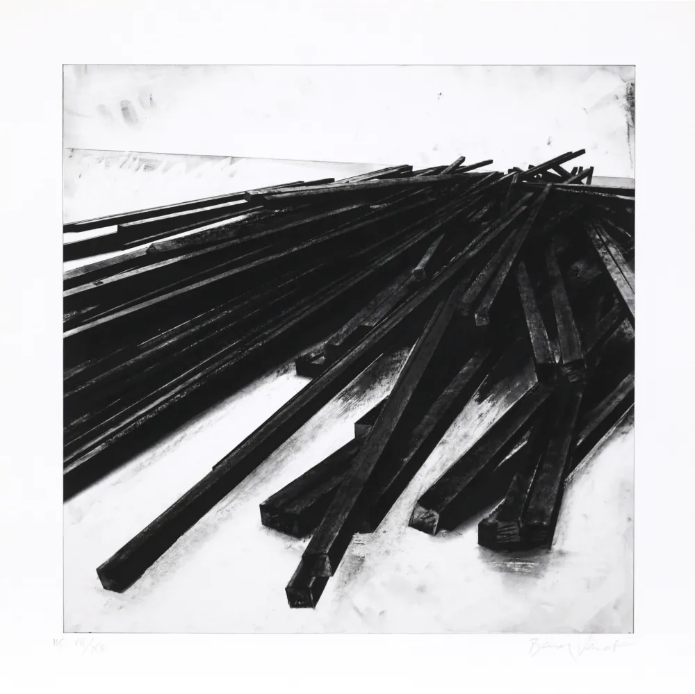 Screenprint Venet - Lignes droites / désordre 05