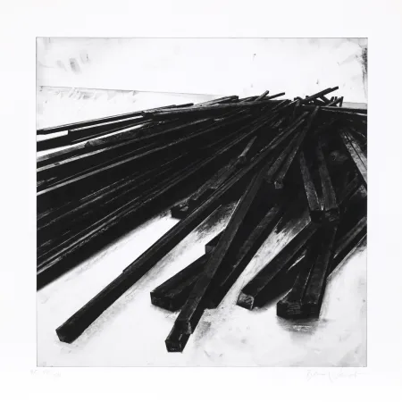 Screenprint Venet - Lignes droites / désordre 05