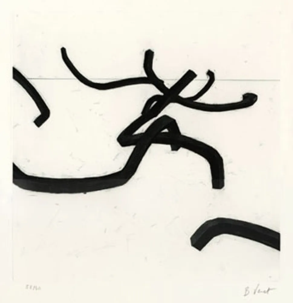 Etching Venet - LIGNES INDETERMINEES