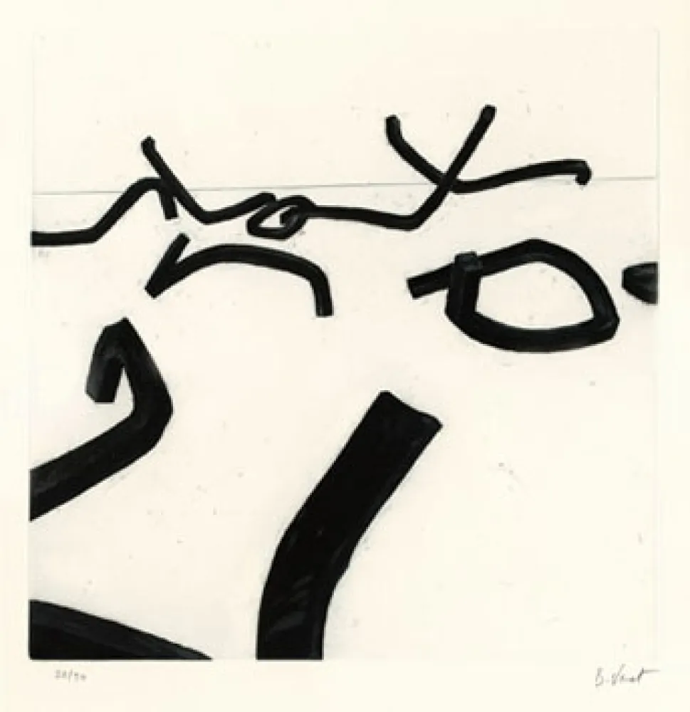 Etching Venet - LIGNES INDETERMINEES
