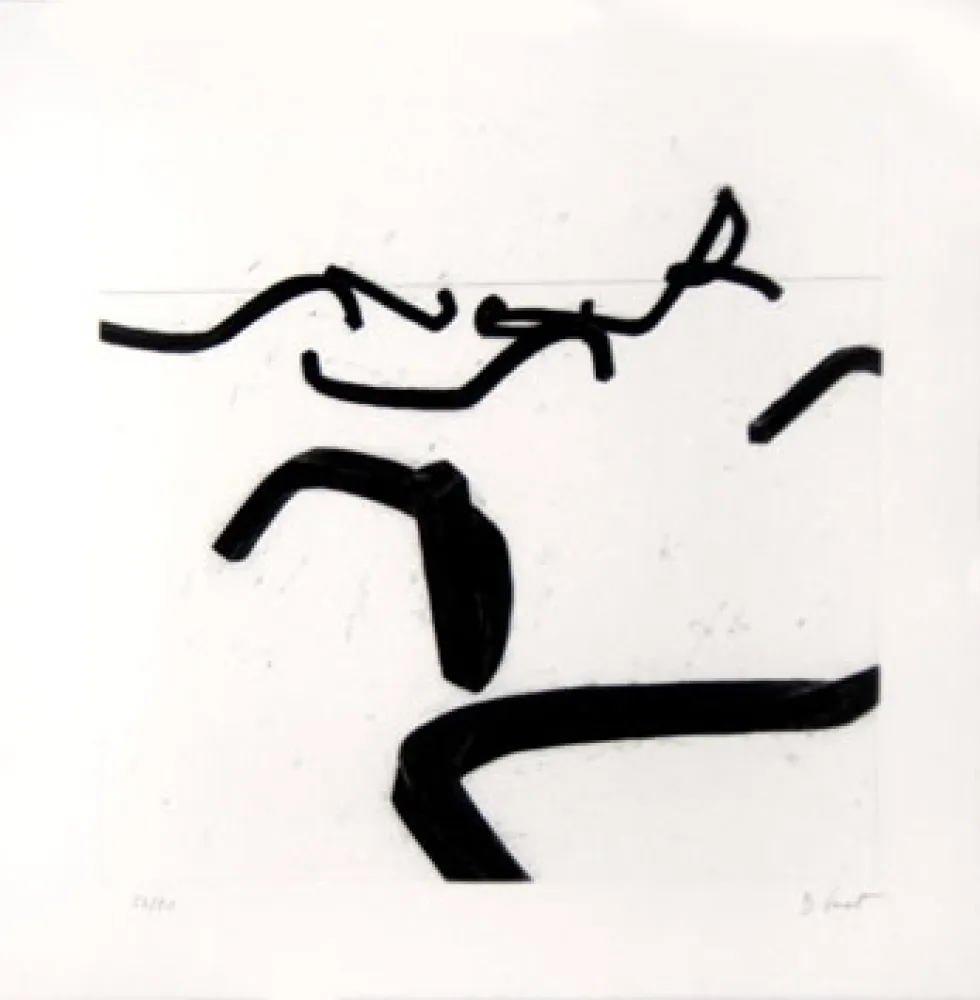 Etching Venet - LIGNES INDETERMINEES
