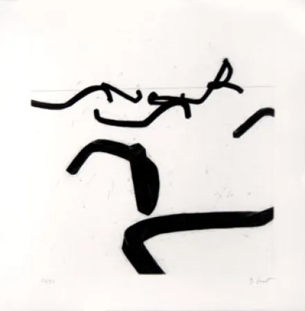 Etching Venet - LIGNES INDETERMINEES