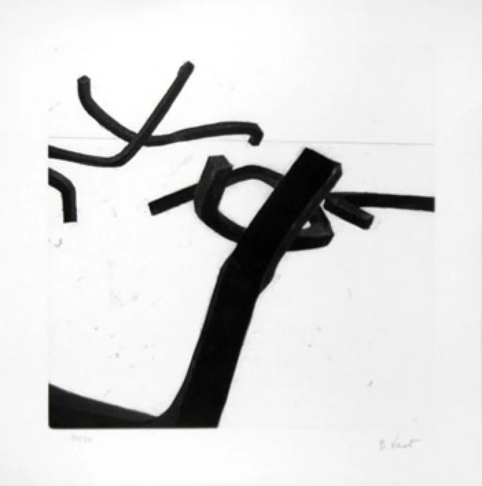 Etching Venet - LIGNES INDETERMINEES