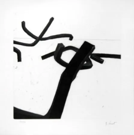 Etching Venet - LIGNES INDETERMINEES
