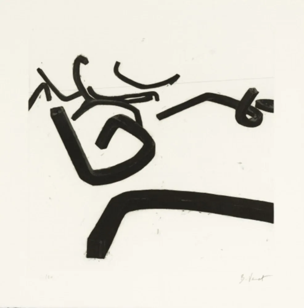 Etching And Aquatint Venet - Random Combination of Indeterminate Lines II, c