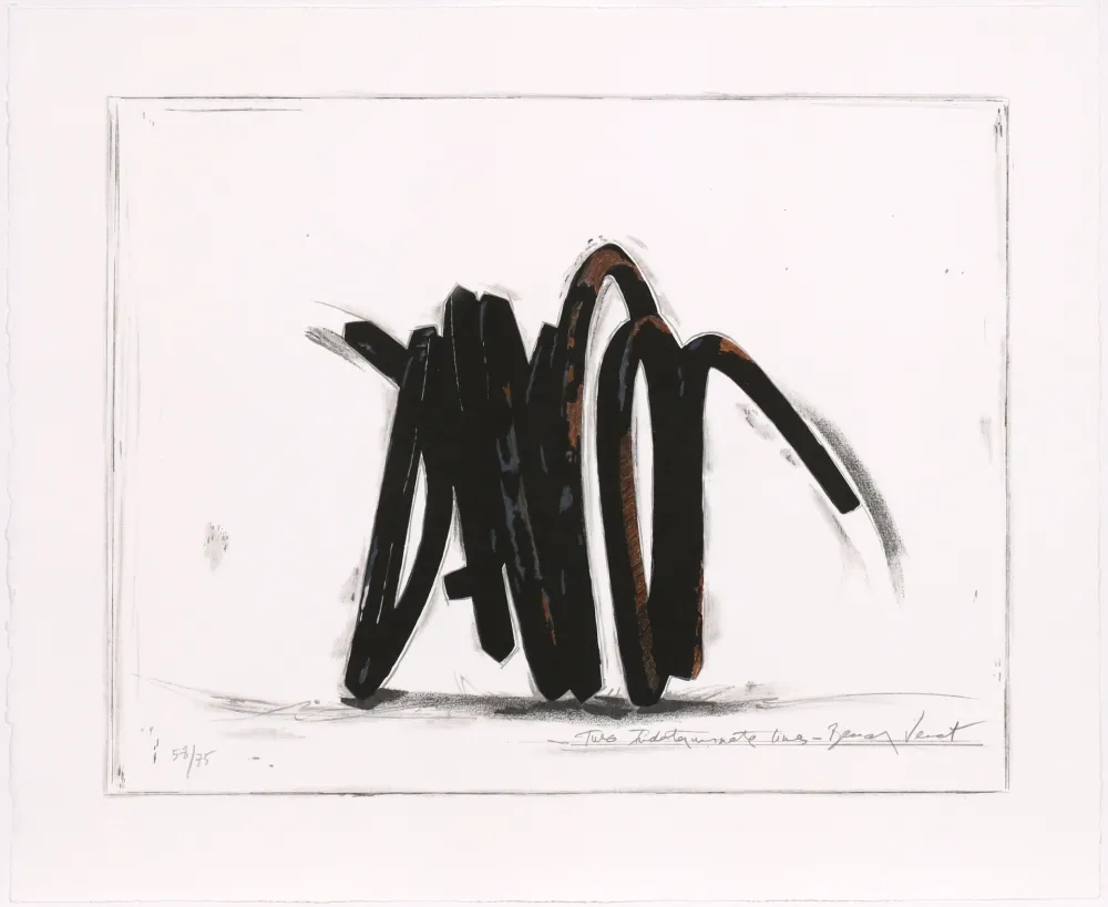 Screenprint Venet - Two indeterminate lines