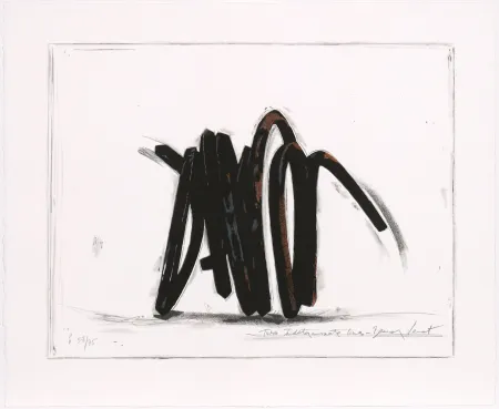 Screenprint Venet - Two indeterminate lines