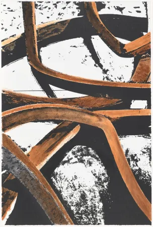 Screenprint Venet - Untitled IX (Combinaison aléatoire de lignes indéterminées)