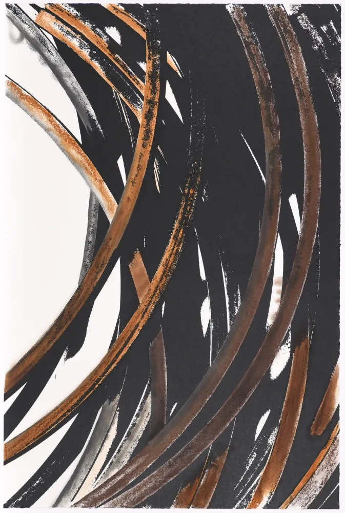 Screenprint Venet - Untitled V bis (Arcs)