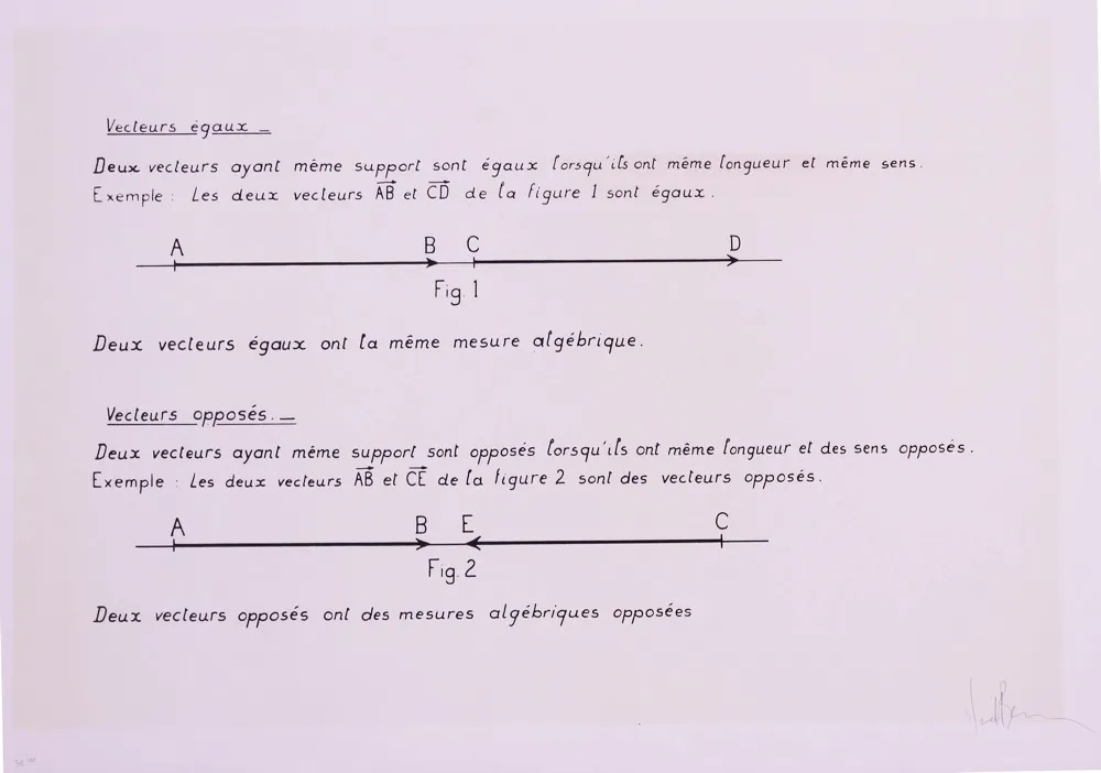Lithograph Venet - VECTEURS