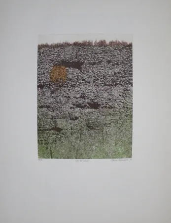 Etching And Aquatint Vernunft - Fiori le mura