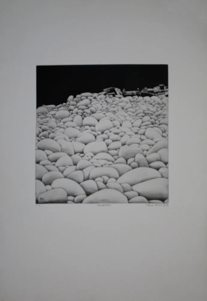 Etching And Aquatint Vernunft - Steinblüten