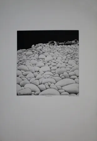 Etching And Aquatint Vernunft - Steinblüten