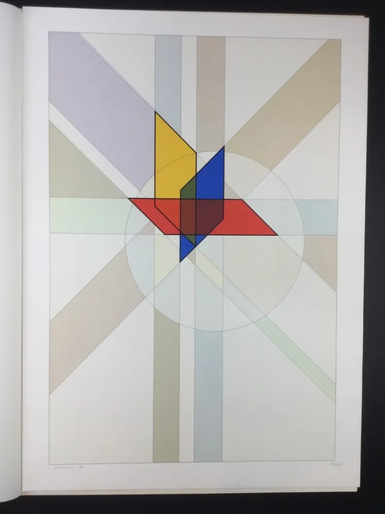 Screenprint Veronesi - Costruzione