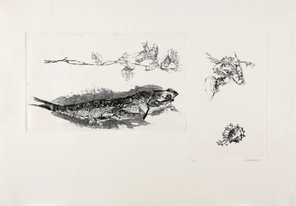 Etching Vespignani - Studi