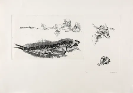 Etching Vespignani - Studi