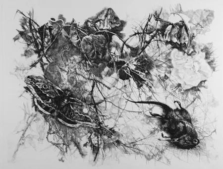 Engraving Vespignani - Zibaldone (Per Leopardi)