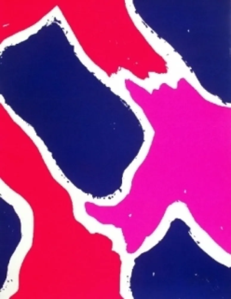 Screenprint Viallat - Composition 3