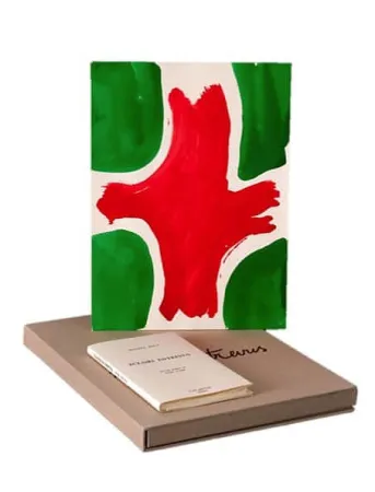 Illustrated Book Viallat - ECLAIRS ENTREVUS, 1991