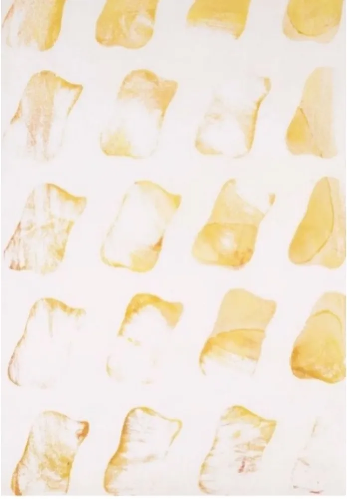 Screenprint Viallat - Empreinte 