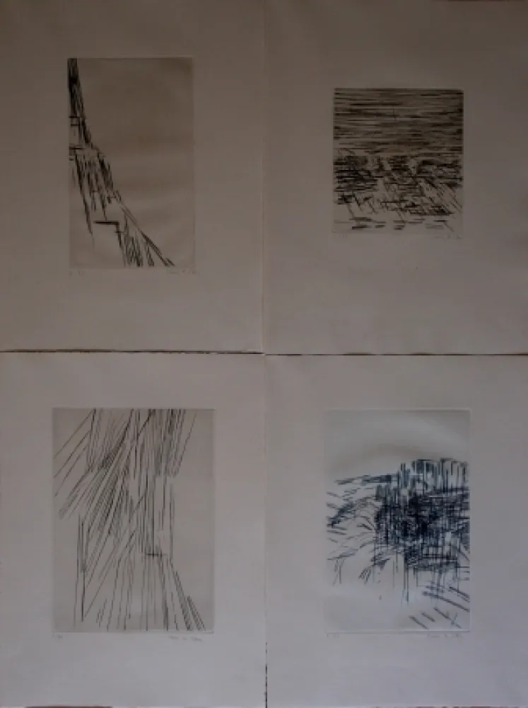 Illustrated Book Vieira Da Silva - Poésies