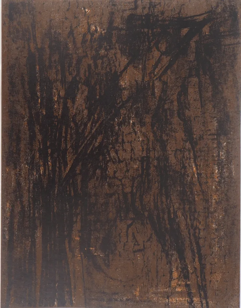 Lithograph Vieira Da Silva - Terre du Portugal