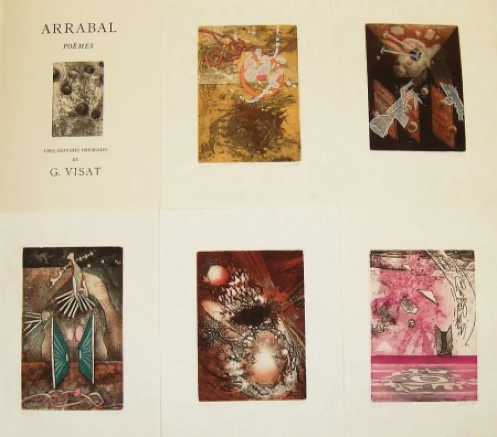 Illustrated Book Visat - Poèmes