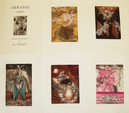 Illustrated Book Visat - Poèmes