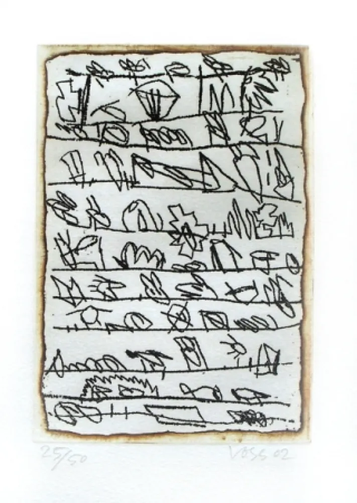 Illustrated Book Voss - La dispersion