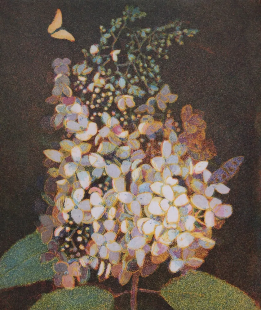 Aquatint Votteler - Hortensie mit gelbem Falter