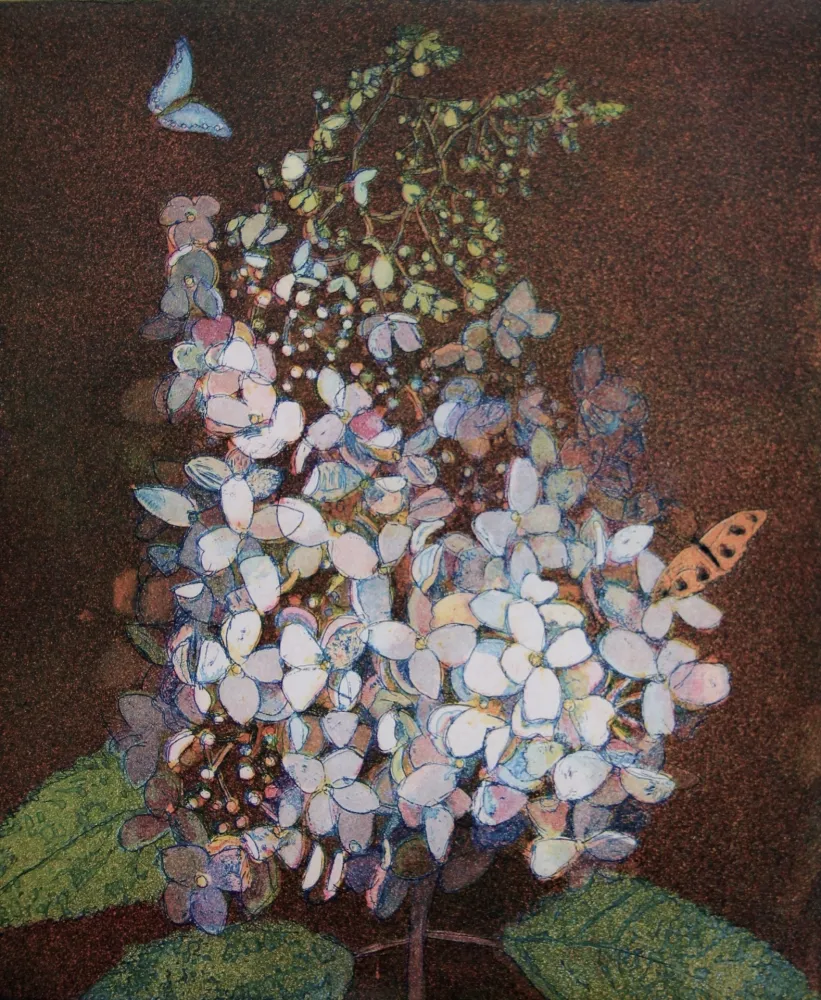 Aquatint Votteler - Kleine weisse Hortensie