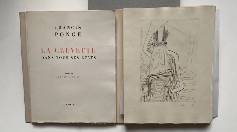 Illustrated Book Vulliamy - LA CREVETTE DANS TOUS SES ETATS